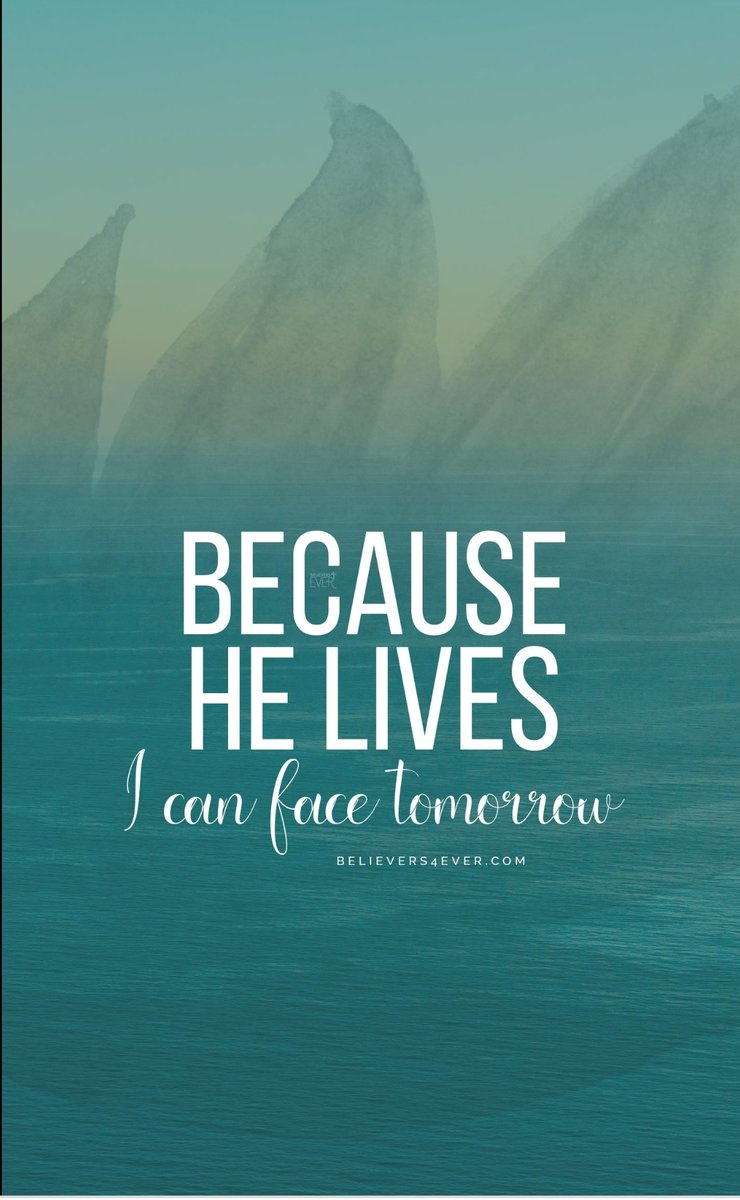 RDMark's tweet image. 