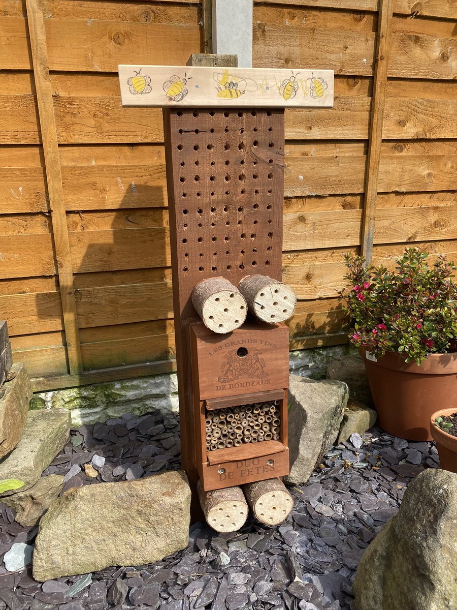 CroftonBirder's tweet image. #lockdownprojects