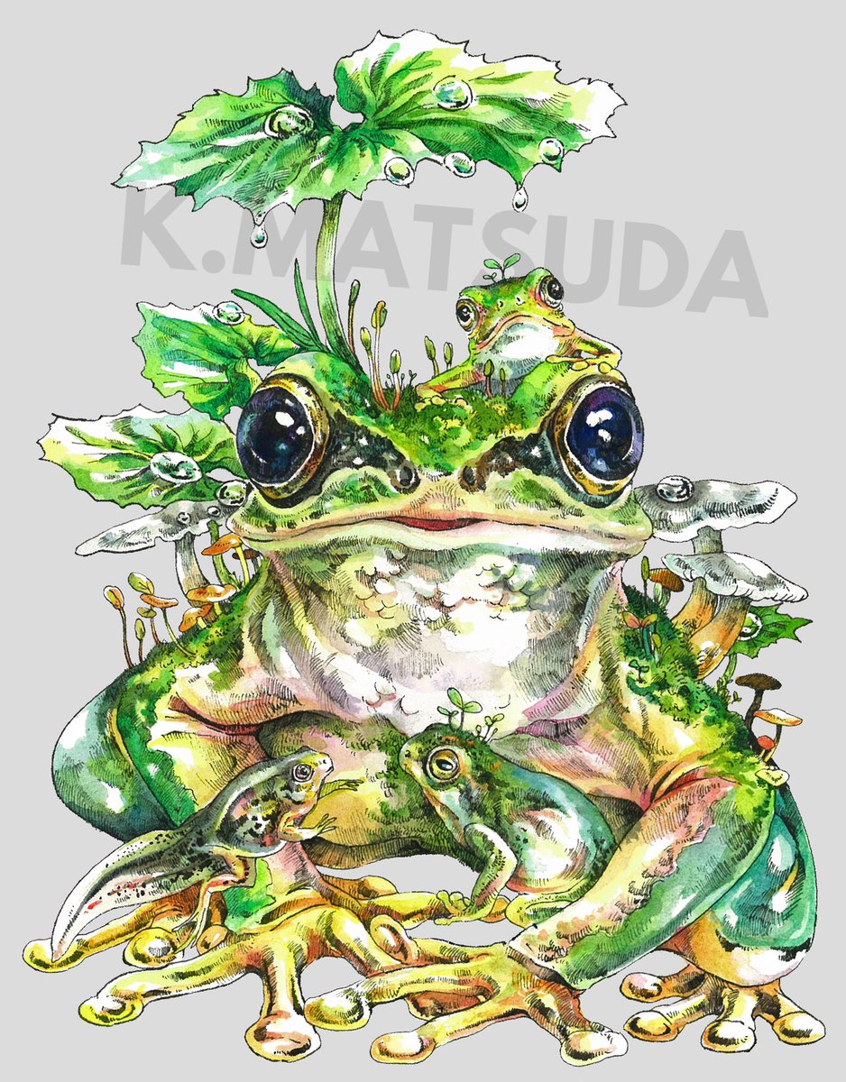 「『雨のち』F0号 水彩 ペン アクリル
雨があがった後のアマガエルの親子を描きま」|Keso Artのイラスト