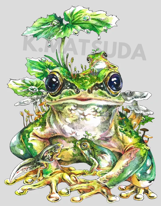 『雨のち』F0号 水彩 ペン アクリル
雨があがった後のアマガエルの親子を描きました。蕗の葉やきのこの上の水滴をはじめ、絵全体にうるおいを感じられるよう意識しました。特に親ガエルの瞳は水玉のように爛々と輝くように描け、満足しています。

#マツダケン 