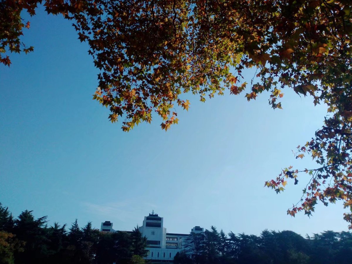 frrranxi's tweet photo. #China https://t.co/Tlddr2tw9I