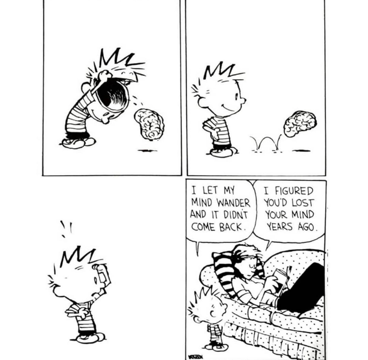 Calvin and Hobbes on Twitter: "I'm still looking for my brain 🧠 https://t.co/Y2hcdY9XaX" / Twitter