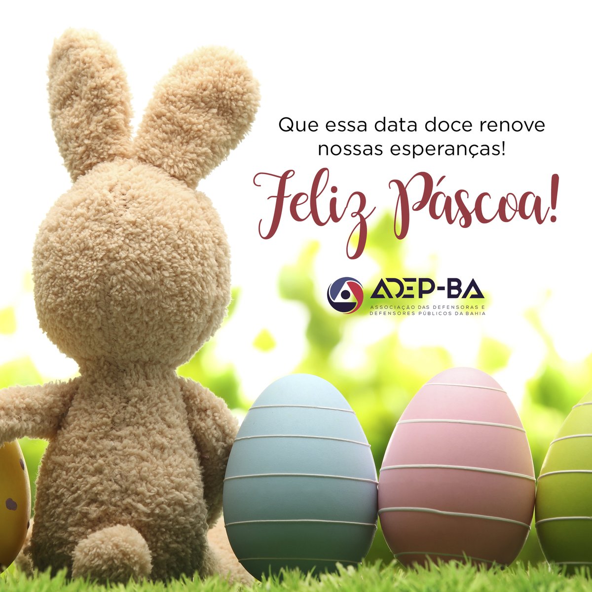 adepbahia's tweet photo. Que nesta Páscoa renasça amor, fé e esperança de dias melhores para as defensoras e os defensores públicos!
#ADEPBA #DefensoriaSim #Páscoa https://t.co/9g2B7zC4g0
