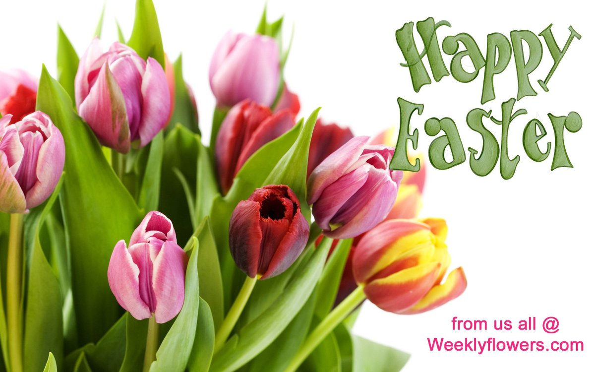 Happy Easter, and thank you so much to all our customers.  We send out our best wishes to you and your family during this unprecedented time.  #easterflowers #springflowers #nocontactdelivery WeeklyFlowers.com