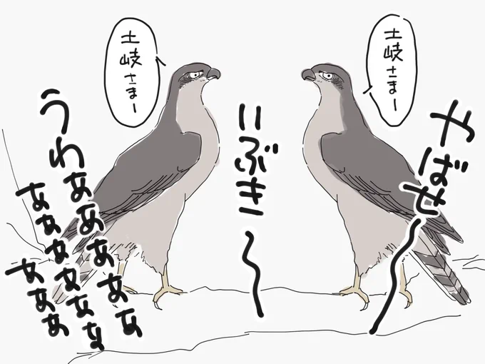 土岐頼芸さんのペットロスが心配で?
何度も夢を見てそう?
#麒麟がくる #麒麟絵 