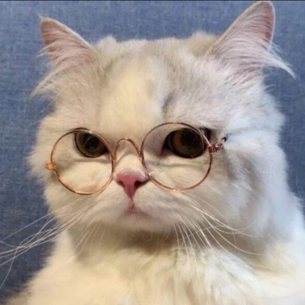 Betty Colon tweet media