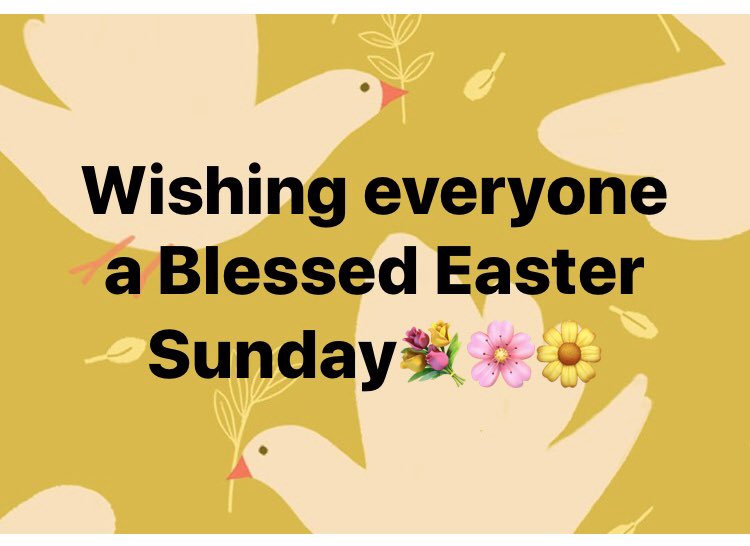 NYCsobercoach's tweet photo. 🙏🐣🙏 https://t.co/GfA9lI2ZSq