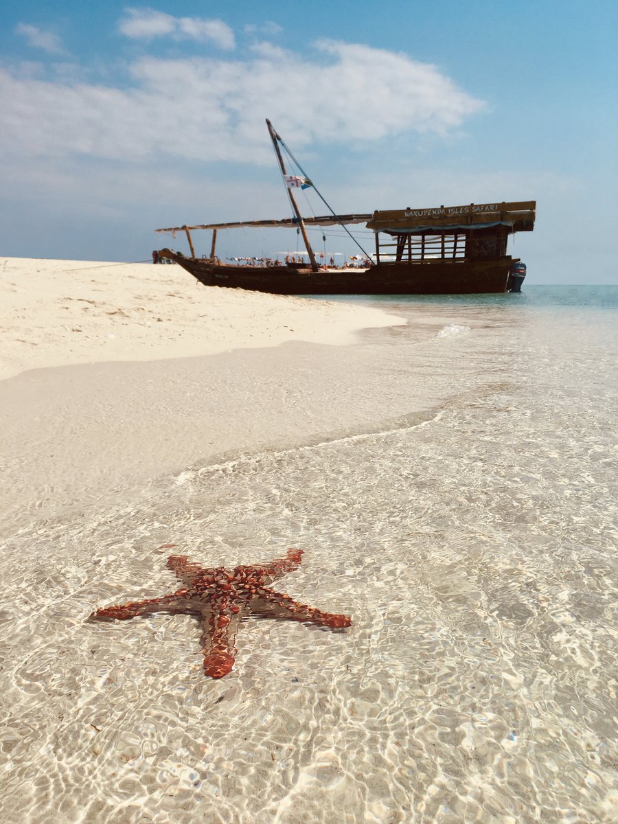 GoldZanzibar's tweet photo. Today's To-Do List 👉 shine like a star! ✅

@GoldZanzibar is sending you the sweetest thoughts for a #HappyEaster https://t.co/jss8f8fJu7