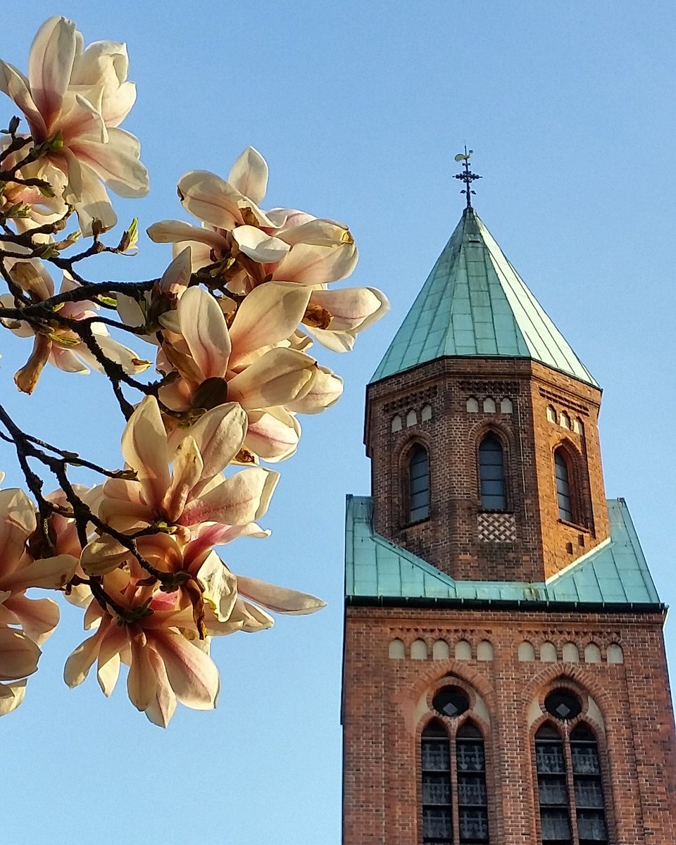 JoergMGehrke's tweet photo. Frohe Ostern aus Berlin-Lichterfelde!
#Lichterfelde #Steglitz #Berlin #basz #Ostern #Ostersonntag #Kirche
https://t.co/pYQDprXclv https://t.co/1TaiWpwAed