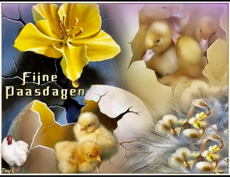 frank lemlijn (@lemlijnf) on Twitter photo 