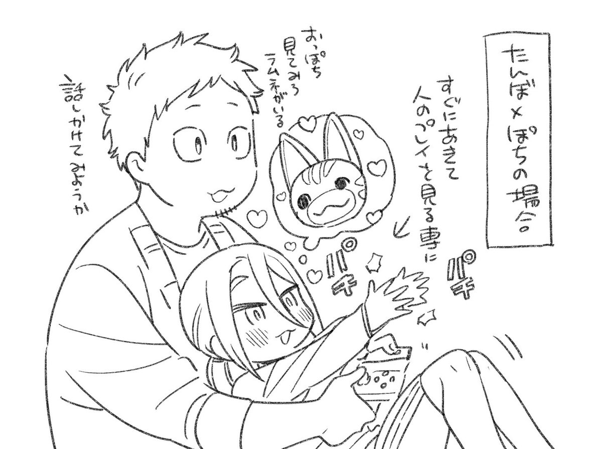 シロップのキャラたちがあつ森やりました 