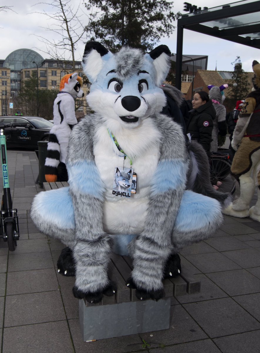 NFC 2020 Dywell (mode Spiderman)