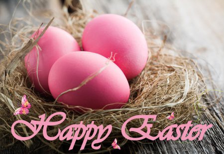 own_homes's tweet photo. Happy Easter everyone we hope you’re all keeping safe and well. Have fun with your Easter egg hunts today 🐣 #ownhomes #stevenage #StayHomeSaveLives #estateagents https://t.co/Qiy4Ybqc9a