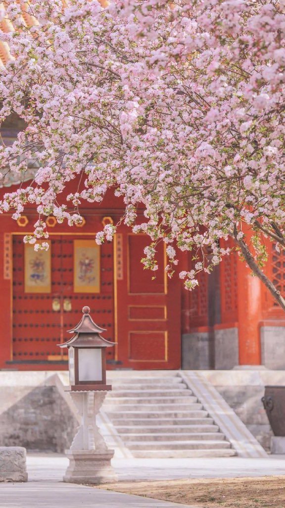 Judy51315155's tweet photo. Welcome to Beijing #China https://t.co/9Xn13UNB5H