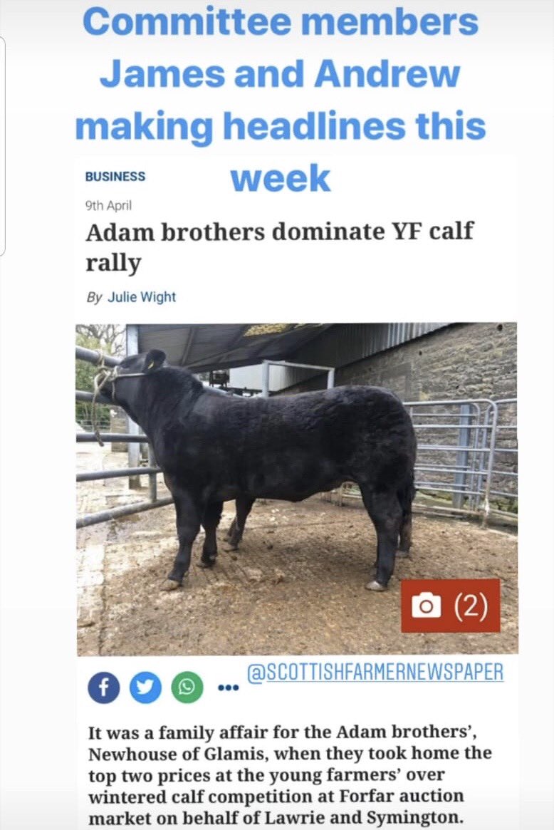JennyClaylands's tweet photo. Excellent to see @SAYFC members from #ForfarJAC in our Angus Tayside District still able to sell cattle for their Overwintering Fattening Comp @LawrieSymington. Well done #YFinAction #KeepingSafe #SalewithaTwist #DifferentFromTheNorm https://t.co/cyKgbqEnDz