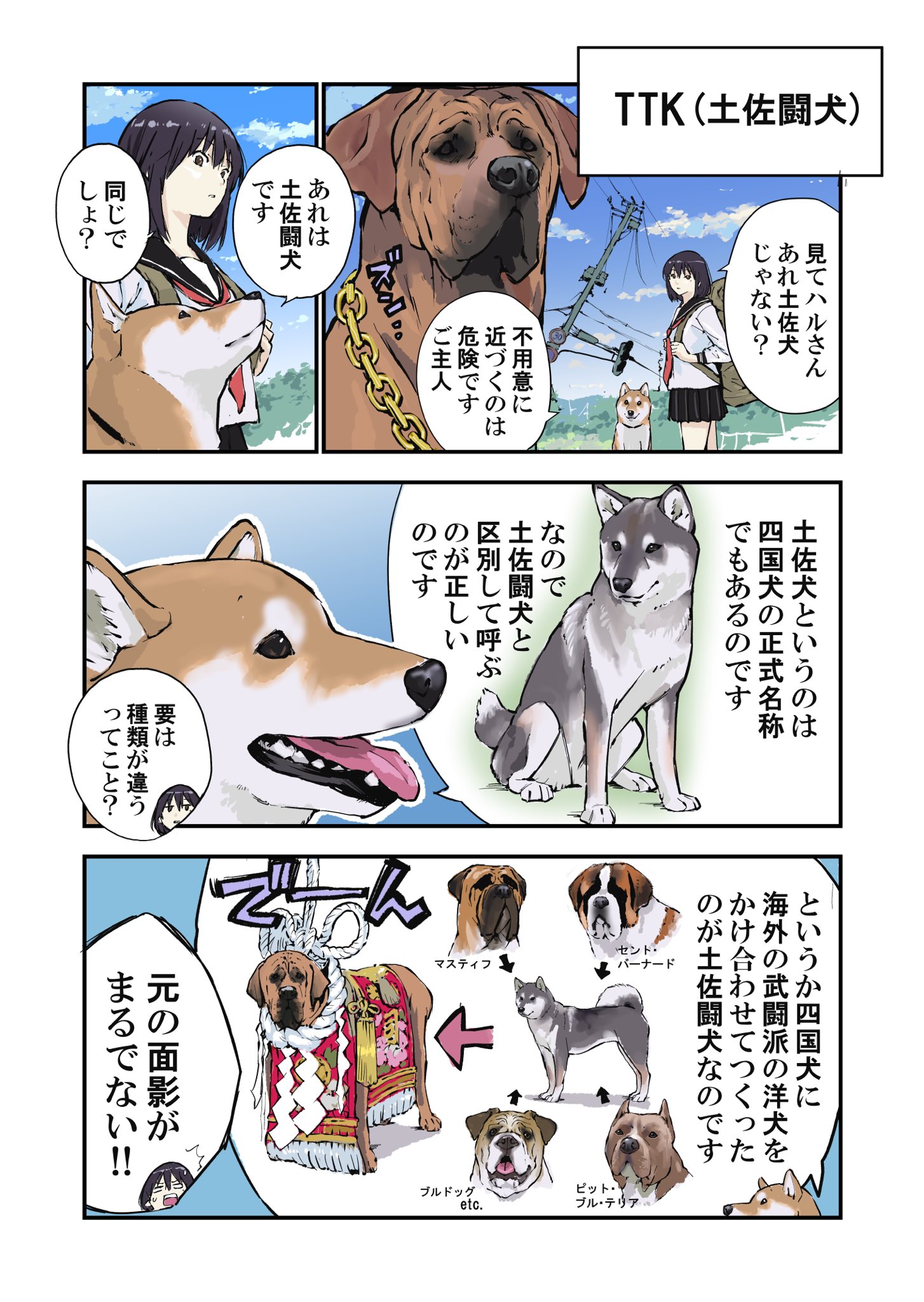 石原 雄 在 Twitter 上 世界の終わりに柴犬と 土佐闘犬についての話 T Co Y8xyumqqwz Twitter