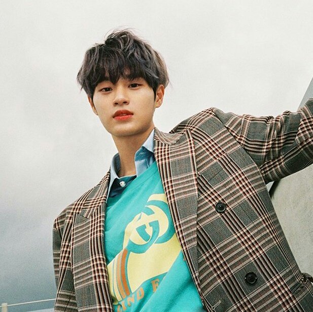 ↳ lee daehwi.