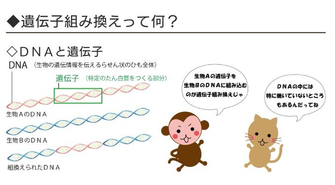 遺伝子組み換えのtwitterイラスト検索結果 古い順 遺伝子組み換えのtwitterイラスト検索結果 古い順