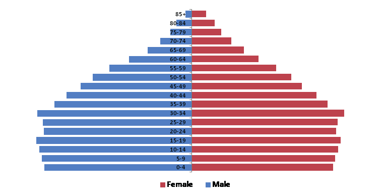 brits_gideon's tweet photo. @MauritzPreller The flu kills 290 - 650 000 per year and these deaths are mostly amongst the elderly.

This is a flu.  It affects the elderly most.

Turkey has a younger population as can be seen from the respective population pyramids.

Same happens every year.

#fluPanic2020
#EndTheShutdown https://t.co/WXV9k92Vpi