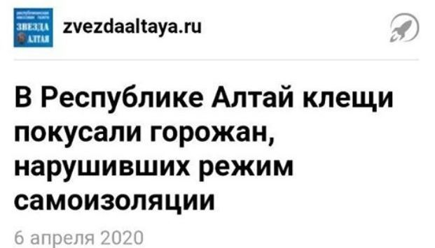 lentaruofficial's tweet photo. Власти Алтая испытывают новейший метод борьбы с нарушителями карантина. Ждем в Москве https://t.co/0IeYP6kNxz