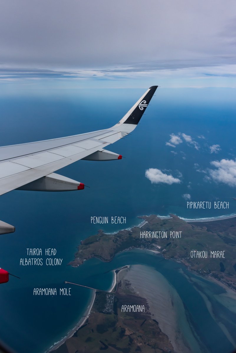 Some might remember our trip to Waitangi for the week recently, celebrating the wonder that is our nation's birth place. How awful I had to fly over  #BitsOfNewZealand with  @FlyAirNZ  #AirNZShareMe  #SouthIsland