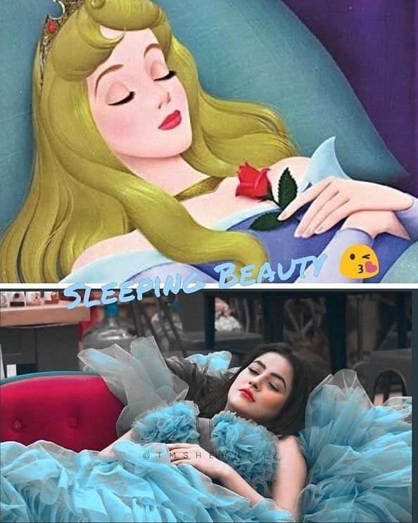 A thread-Sana as Disney Princess  #ShehnaazGill as Sleeping beauty 