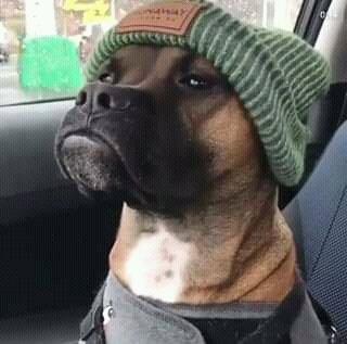 Nii kabisaaaaaaaaa #ngogoyo itate kiambu town locked <a href="/kamauskangethe/">Kamau Kang'ethe</a> <a href="/VirginiaKangon3/">Virginia Kang'ong'a</a>