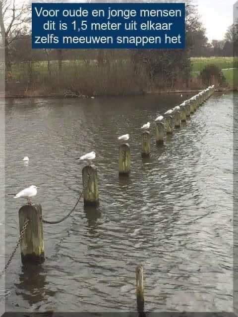 ....en ook dan kan je gewoon genieten van een heel mooie paasdag !