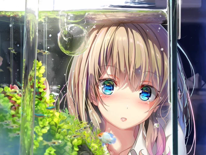 何か宣伝しないと!!(使命感
えっと、コミケは中止なりましたが、相方と新刊同人誌を作ってます!「アクアリウムガール」っていう水景を楽しむアクアリウムを題材にしたオリジナル本です♪このネタと同じ魚関係という運命力w

そのうちメロンブックとかで通販すると思うんで、みんな良ければっ! 