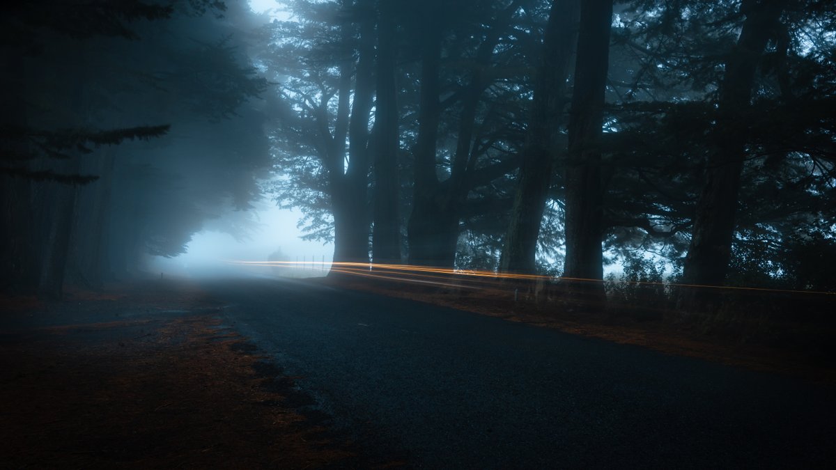 Changing tack & back in  @LoveDunedin when there's a fog you have to make the most of it. Added bonus, my mothers side of the family came from Scotland (Borders region) in the late 1860s to the Burnside area where these were taken this year #BitsOfNewZealand  #DunnerStunner