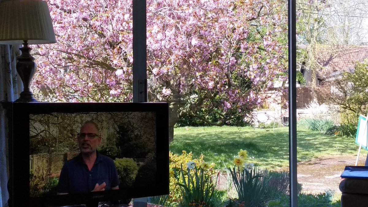 AntonyHutt's tweet photo. Christ is risen! #forgechurch service online, looking out at our cherry tree in flower. https://t.co/ELwwRj1P4R