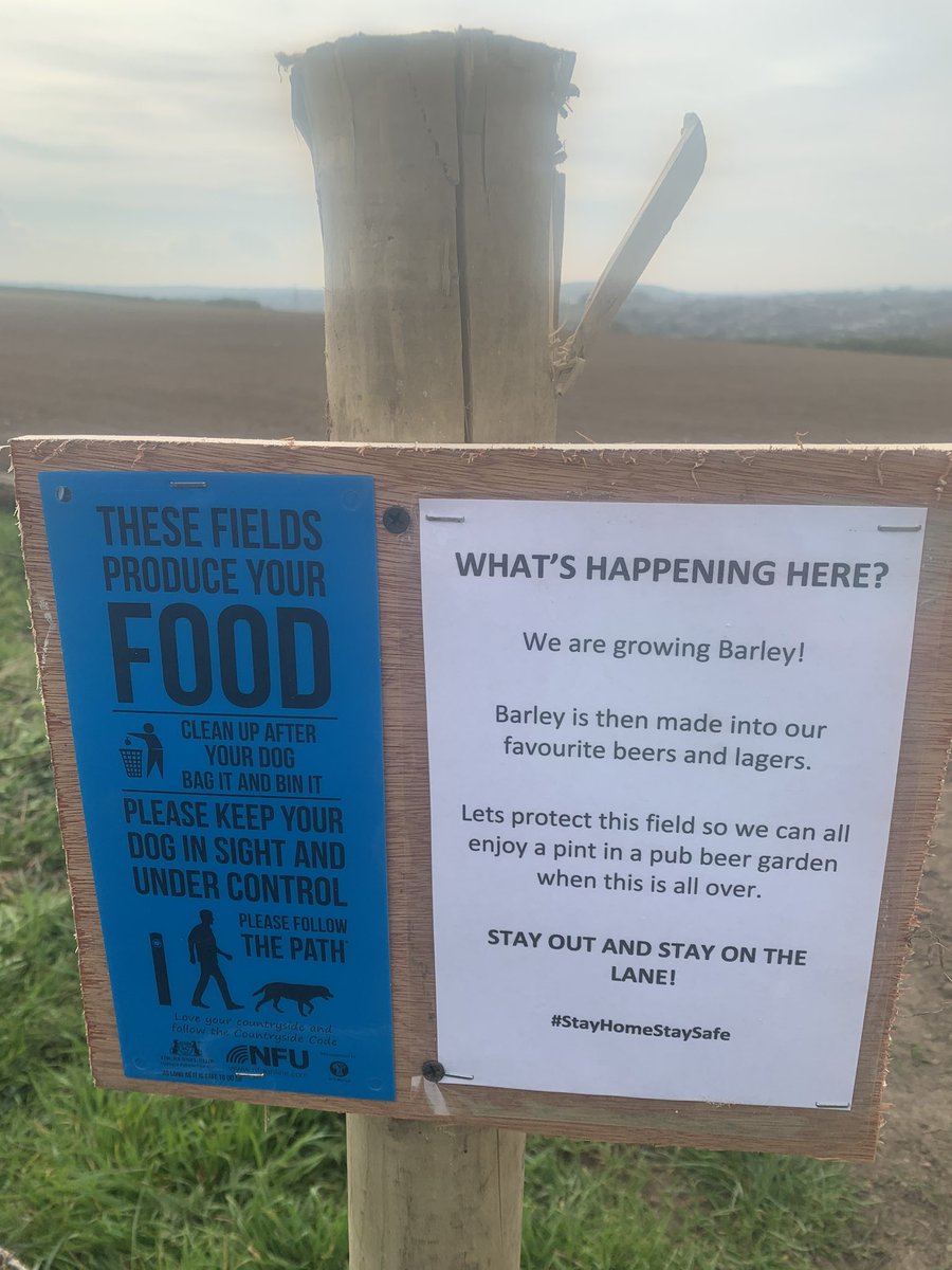 Trying a different approach!!