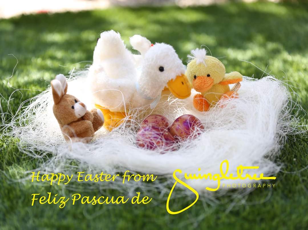 Swingletree Photography 🇪🇺 (@swingletree_) on Twitter photo 