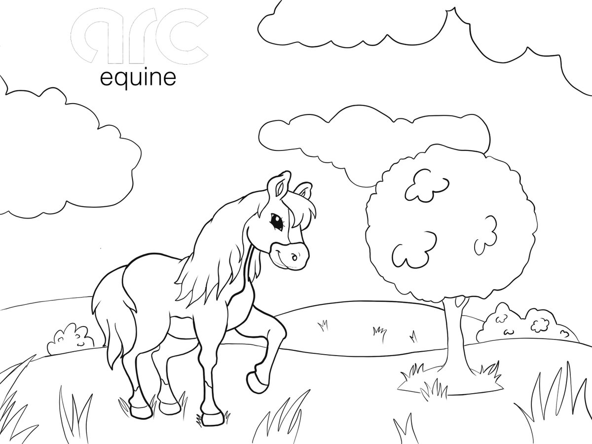 Happy Easter from all of us at #ArcEquine

We want to see your colouring in! 

All colouring welcome (even those outside of the lines!) :D 

#Easter #SmallWonder