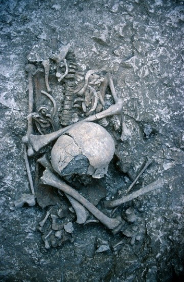 CUBALab's tweet photo. #StudentSpotlightSunday ft PhD student @Michaellegge91! Mike's thesis is an integrated study of the treatment of the dead in the Iron Age of E. England, combining archaeological, taphonomic &osteo methods to discern regional funerary narratives &population demographics.#CUArch100 https://t.co/PU8lEryo8w