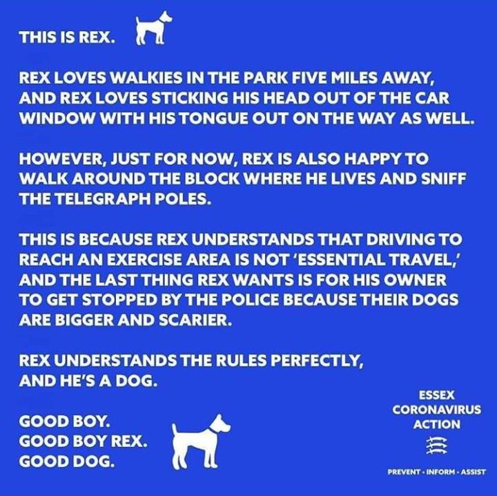 HelpathomecareN's tweet photo. #thisisrex #goodboyrex #gooddog #exerciselocal #community #northtyneside https://t.co/gwUd5AwPmI