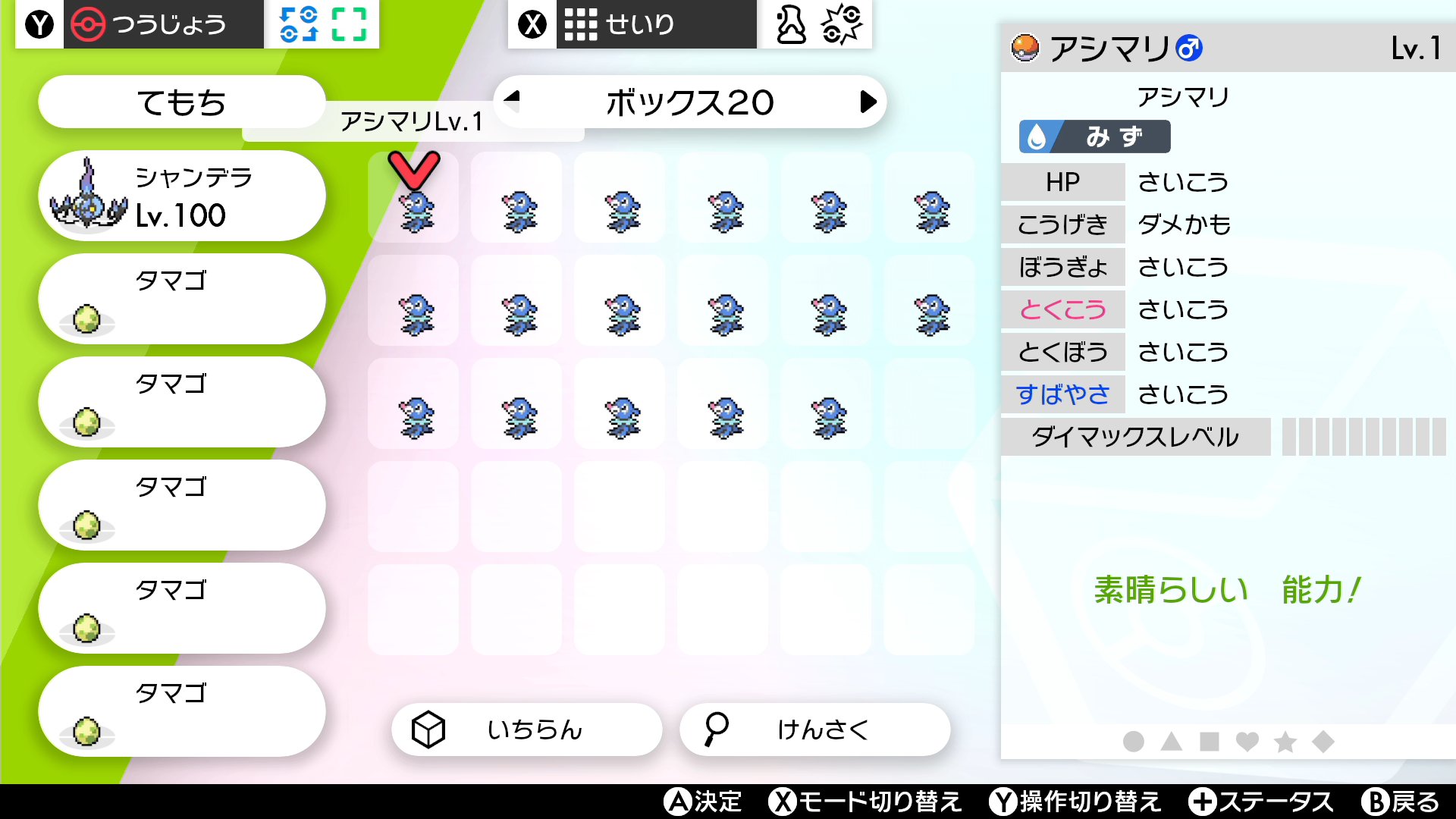 シュガリア A Twitter メスのa05vアシマリが生まれるまでに生まれたオスのa05vアシマリ達です オス7 メス1比率でメス狙い本当大変
