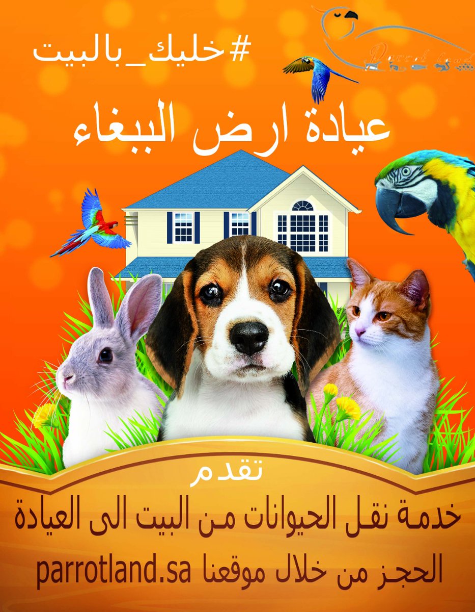 عيادة ارض الببغاء Parotlandclinic Twitter