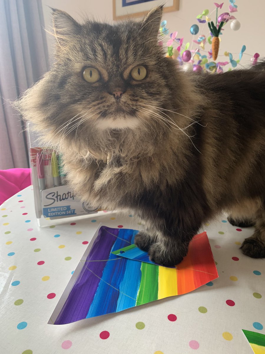 Happy Easter everyone❣️
May you rest, be safe, take care of yourselves 🧡
Oooooo mum! What today? #catboxsunday <a href="/Cleo_sMommy/">Greta & Gabby & Cleo 🌈 3-24-2021 - & Jane</a> @Tonithecat32 <a href="/nesjloch/">Kiki & Lily 🇺🇦 RIP Dwight😿</a>  <a href="/Joeybird/">🌸Clare🌼</a> <a href="/BloomNight2/">Kira 🌻🌻🌻</a>