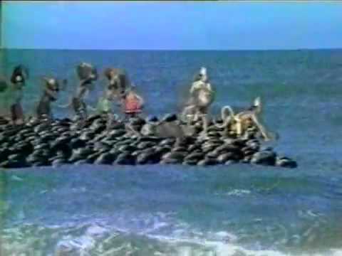 स वानरवरः श्रीमान् विश्वकर्मात्मजो बली || २-२२-७१बबन्ध सागरे सेतुम् यथा चास्य तथा पिता |That Nala, the strong and illustrious son of Visvakarma and an excellent monkey built the bridge across the sea as truly as his father would have built it. #Ramayana  #RamSetu