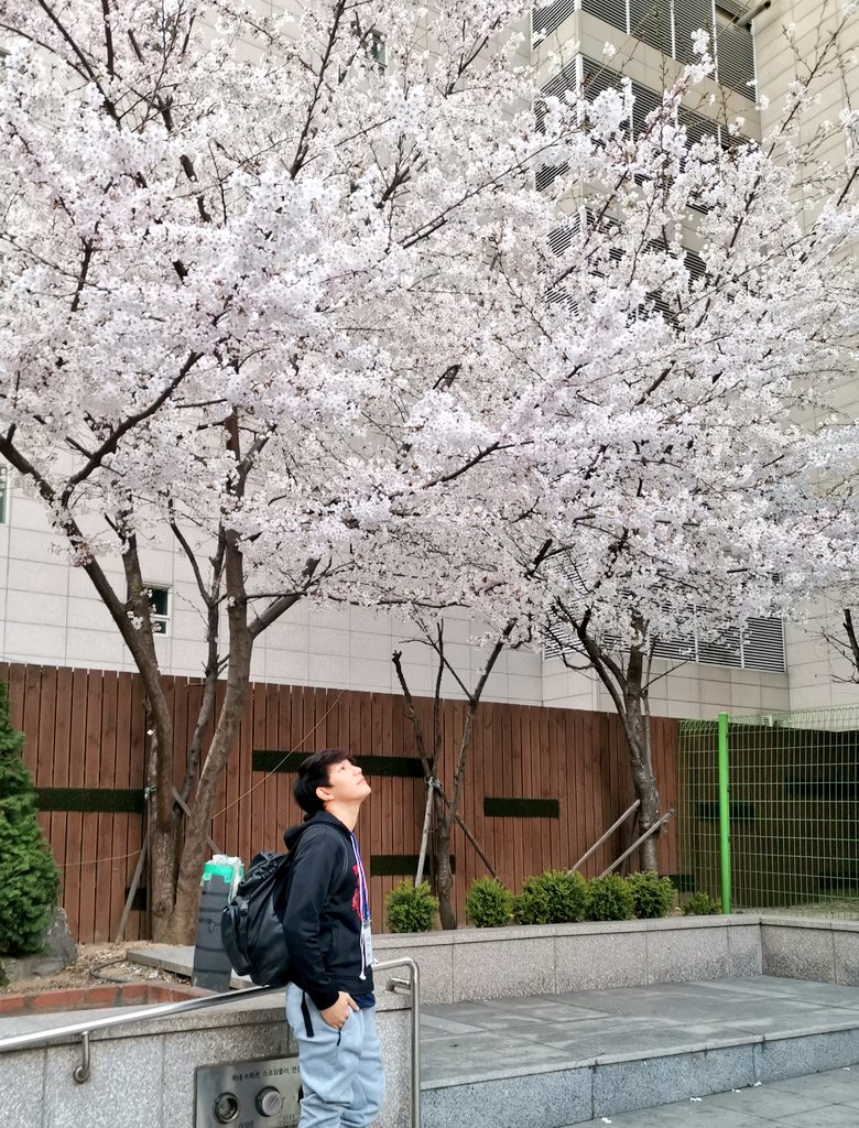 yukito1011's tweet image. Let&apos;s talk before our 1st vlog comes out!
🍀😊

@_PHPmusic | #PHPMusic 
#PHP_PowerTripEP1
youtu.be/D-2v-pyH0Pc