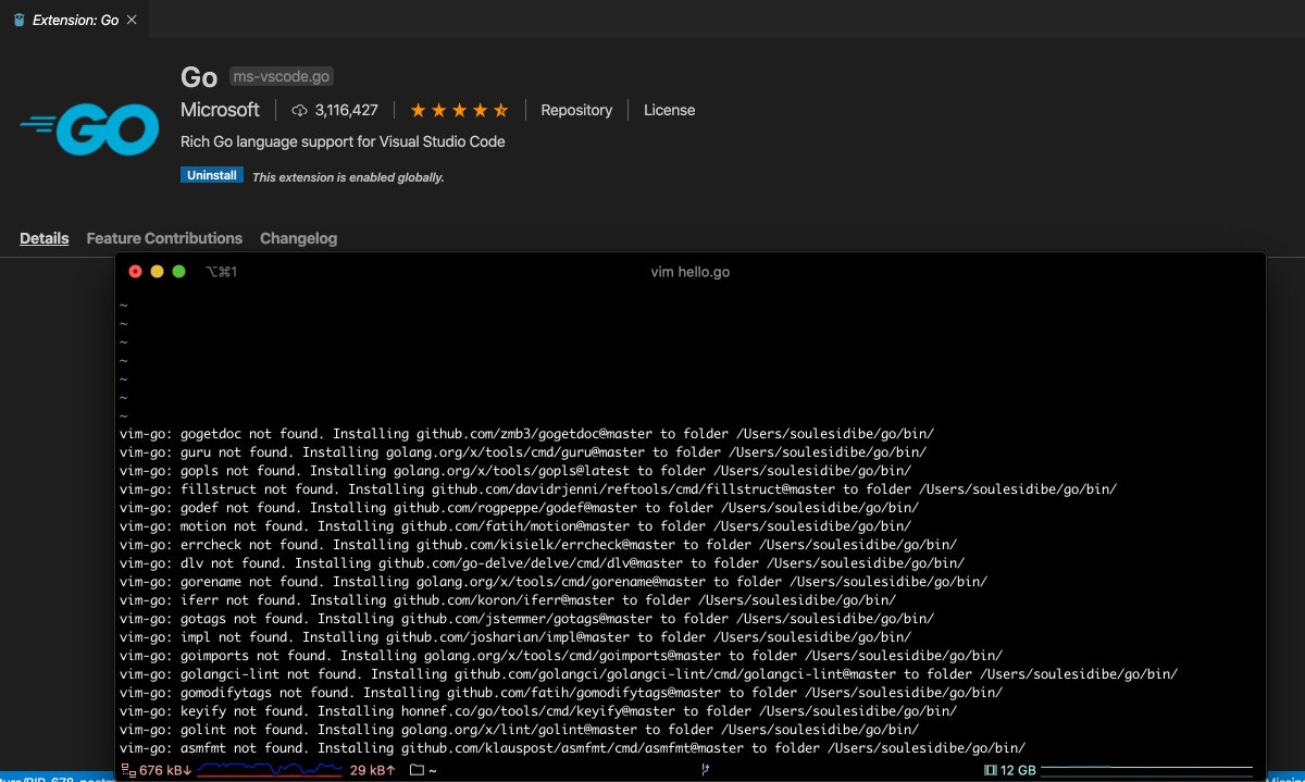 soulesidibe's tweet image. Installing #goLang for vim and vs code(also downloading GoLand). 
Next step, Hassane tutorial on youtube youtube.com/playlist?list=…
#learningGo