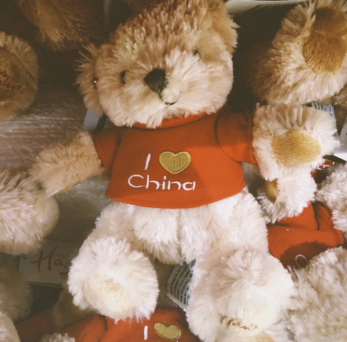 xiaoshuye's tweet photo. ❤️ #China https://t.co/nrK4fmMYj2