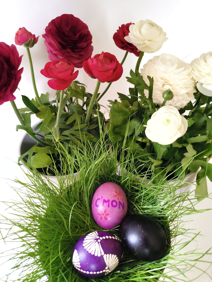 ChangeMakersON's tweet photo. HAPPY EASTER FOR EVERYONE! Stay positive at home and don't forget to call for those who you love!

#changemakerson https://t.co/06Wt5BWVdq