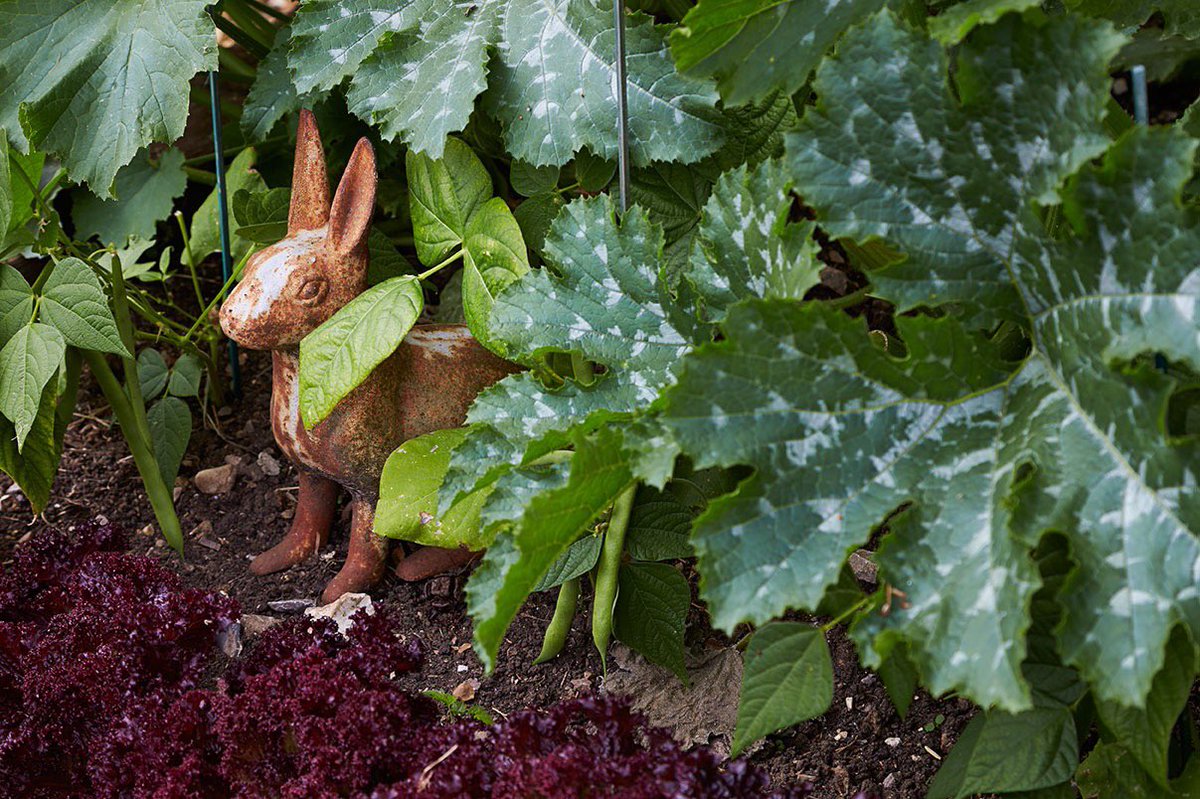 Squirrels Interiors tweet media