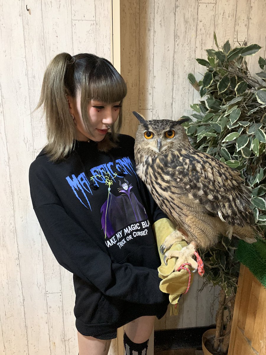 ふくろうカフェricky盛岡店スタッフ בטוויטר みわさん 格好良く撮ってください W 綺麗で可愛いお姉さんに抱っこしてもらってキメキメなみわさん やっぱりお前も男だったんだな かしわだ Rickyの動物たちの為にも ご協力お願い致します