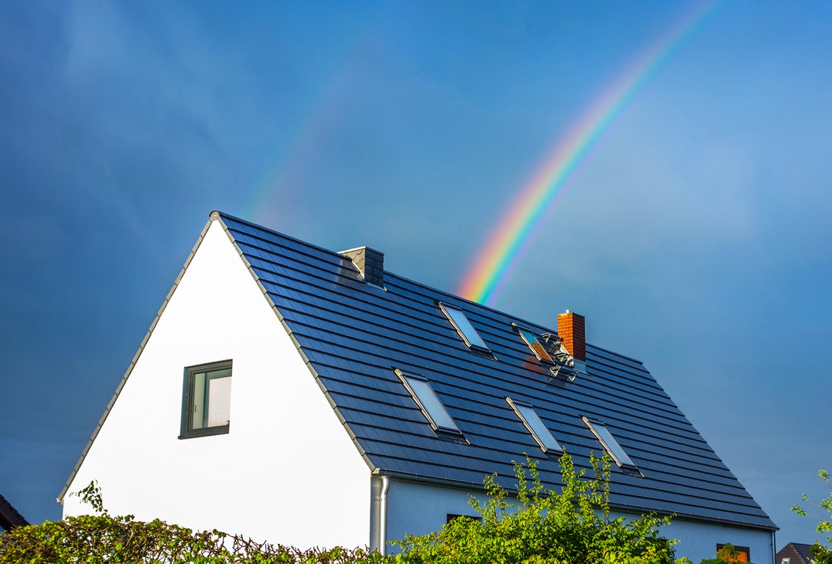 sykes dog friendly holidays