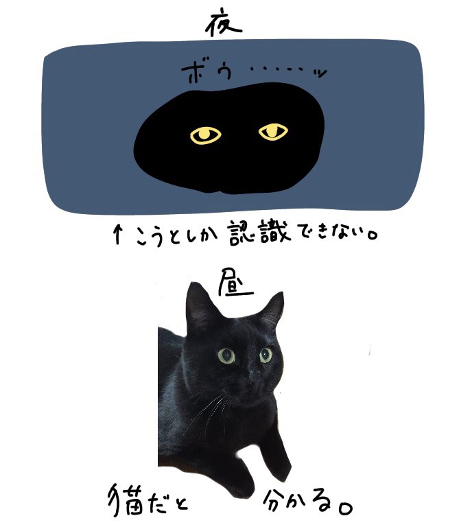 夜の黒猫は瞳だけそこにある 
