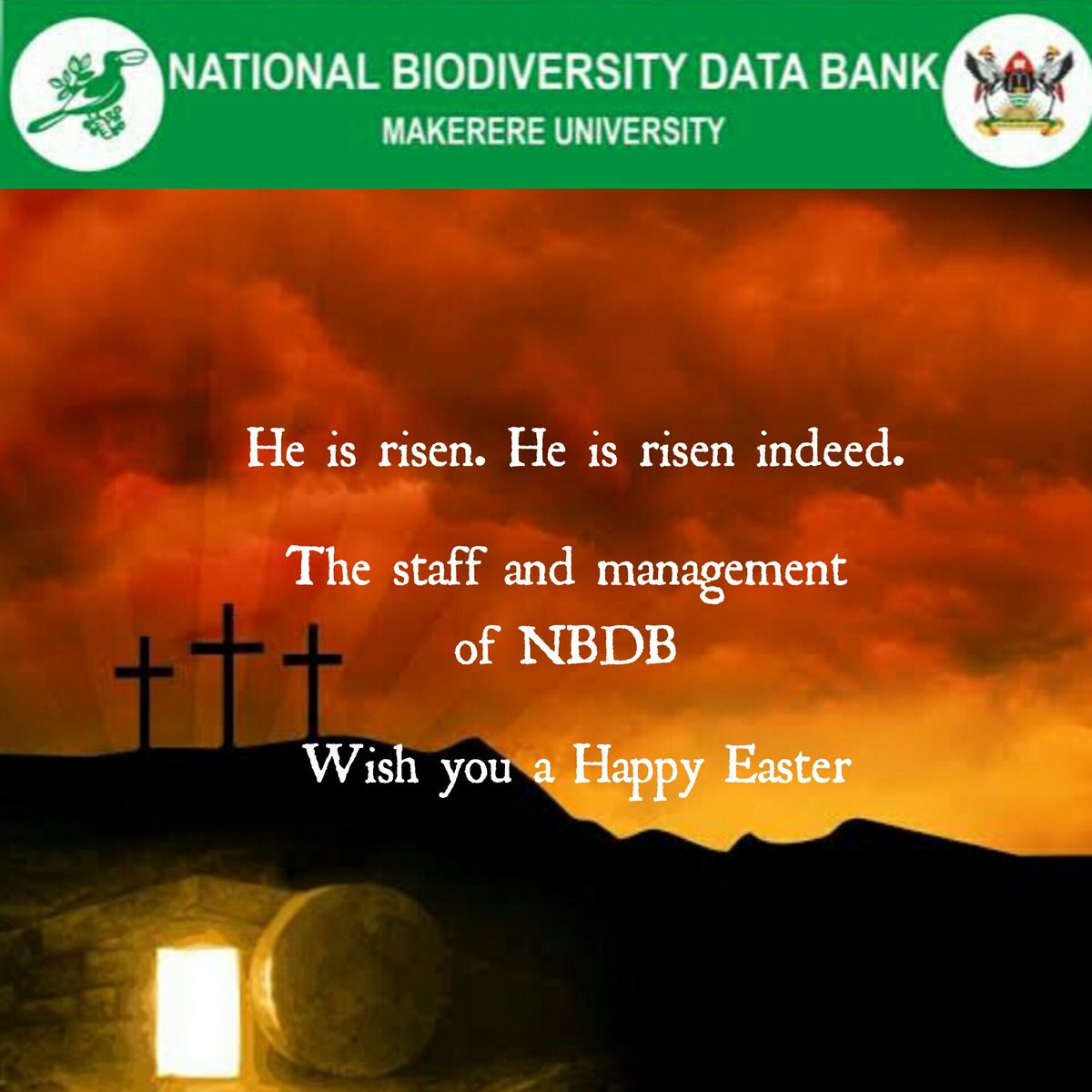 NBDB_UG's tweet photo. #HappyEaster2020 from @NBDB_UG 
#StaySafe https://t.co/iXdTZOK81o
