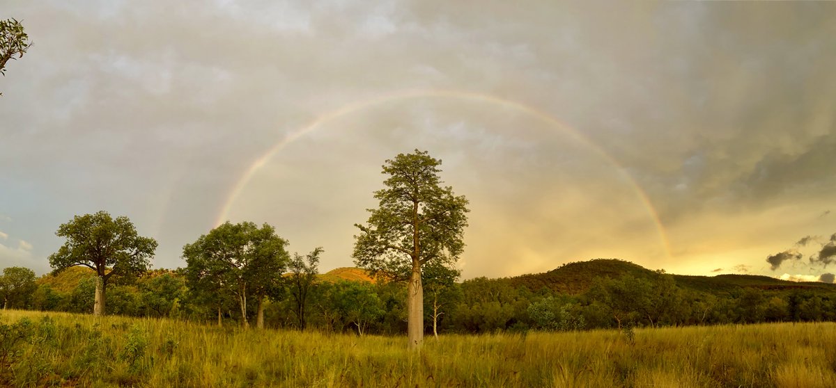 ordsomefarmer's tweet photo. Sometimes you just get lucky and happen to be in the right place at the right time to capture an #ordsome moment #2potsofgold #eastkimberley #isolyfe #nocovidouthere https://t.co/lsejlZginb